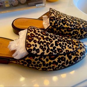 Women’s Steve Madden Leopard Mules